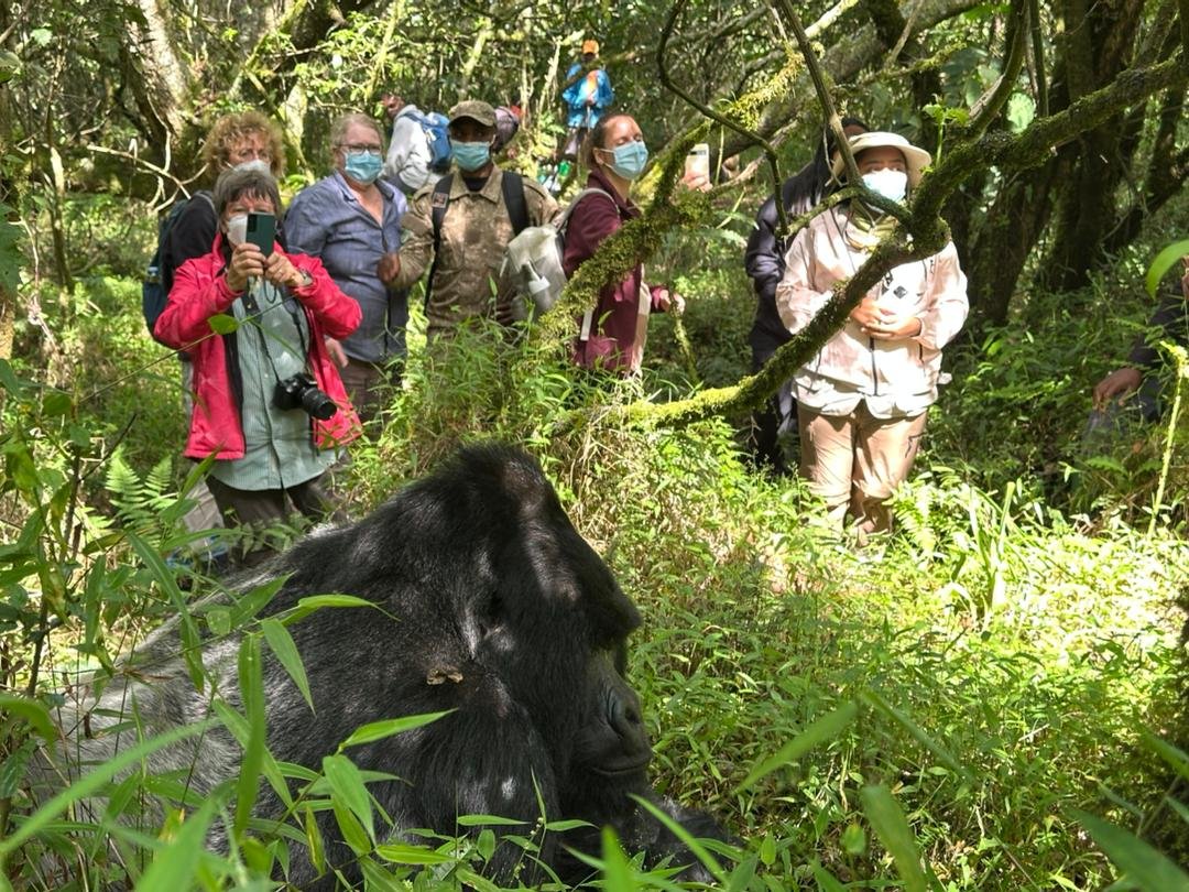 15 Days Premium Wildlife Photography Safari