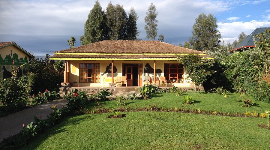 Kinigi Gorilla Garden Lodge