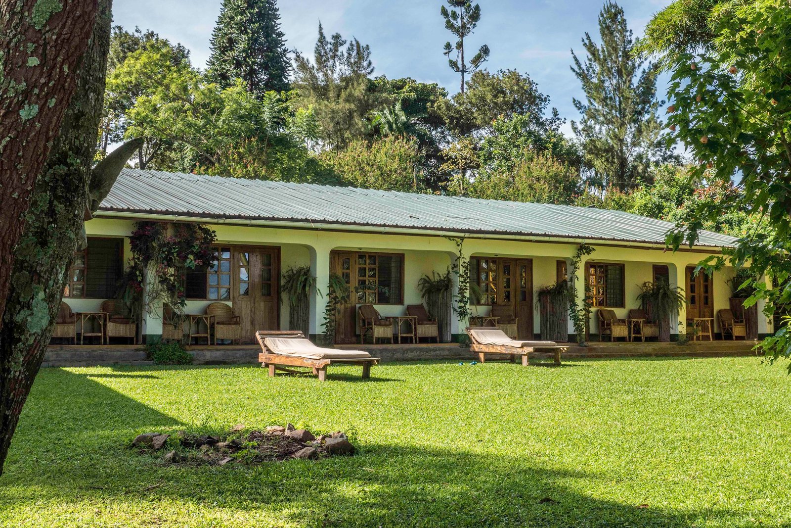 Rwenzori View Lodge