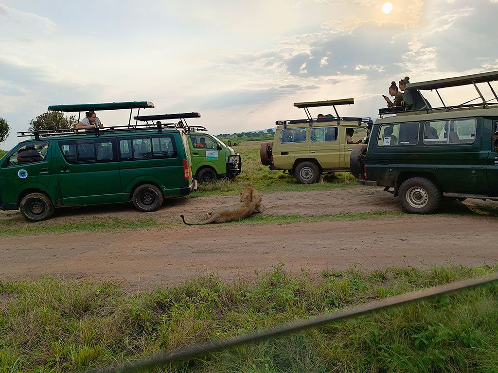 6 Days Luxury Big Game Wildlife Safari