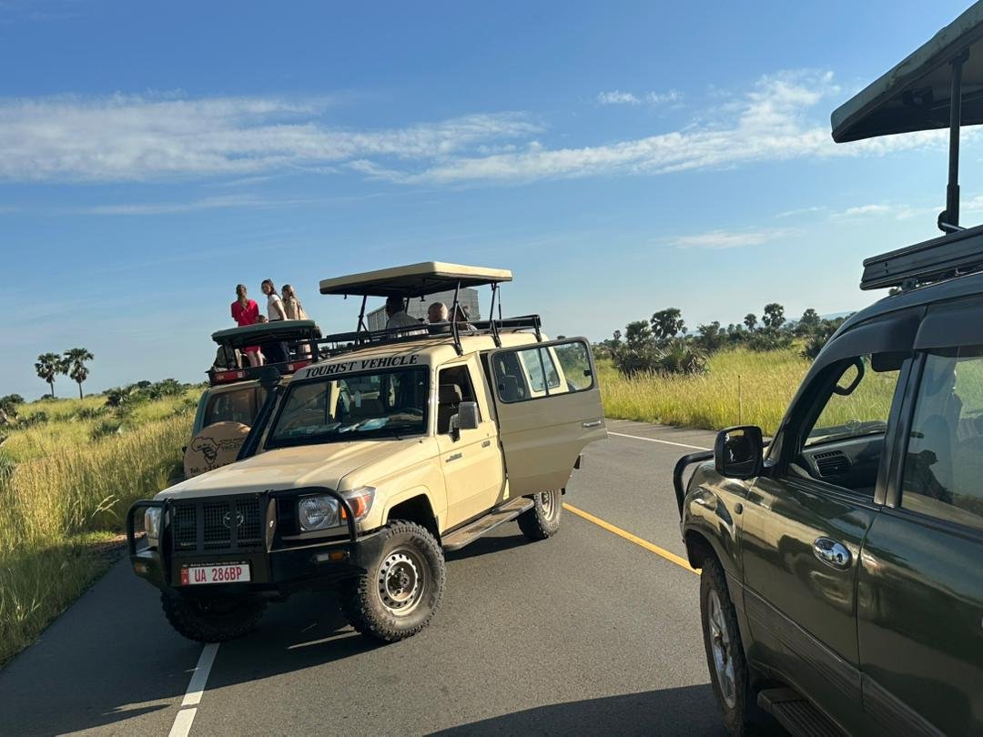 7 Days Ultimate Uganda Primate Safari Experience